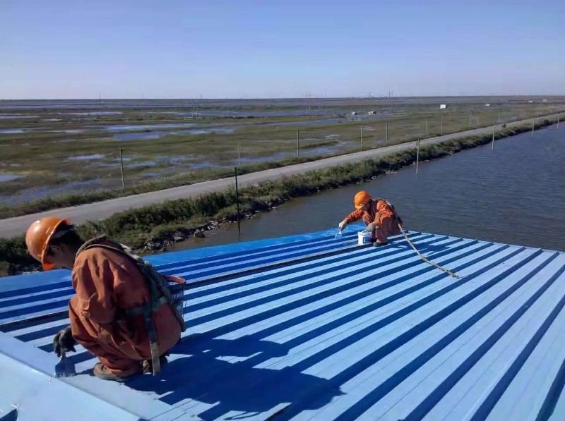 卫滨钢结构屋面漏水原因